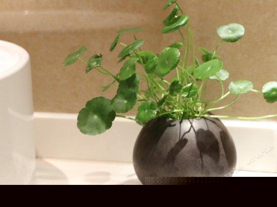 天香庭院别墅（三卧两厅）