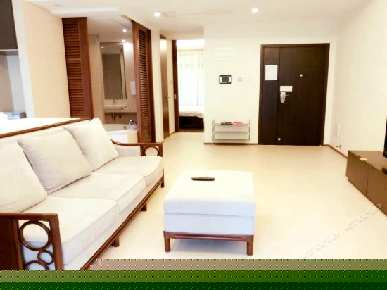 精致豪华一室一厅公寓