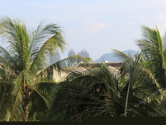 豪华园景大床房