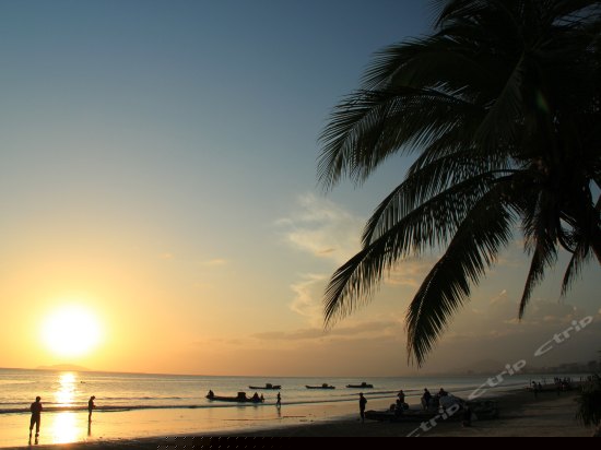 豪华园景双床房