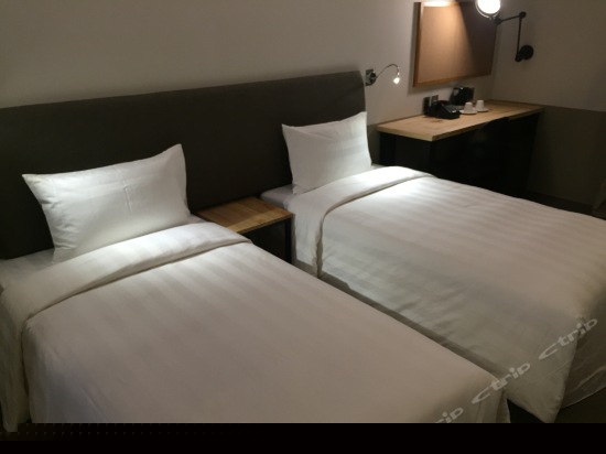 雅致三人房（无窗）