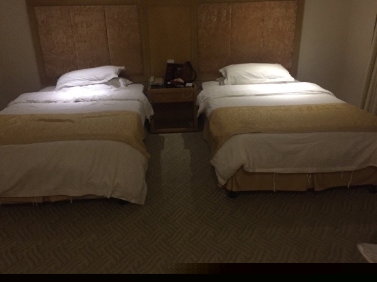 酒店房型