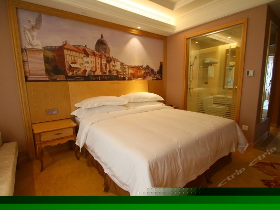 标准单人房（无窗）