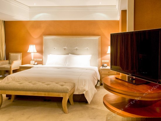 B座贵宾行政豪华单间