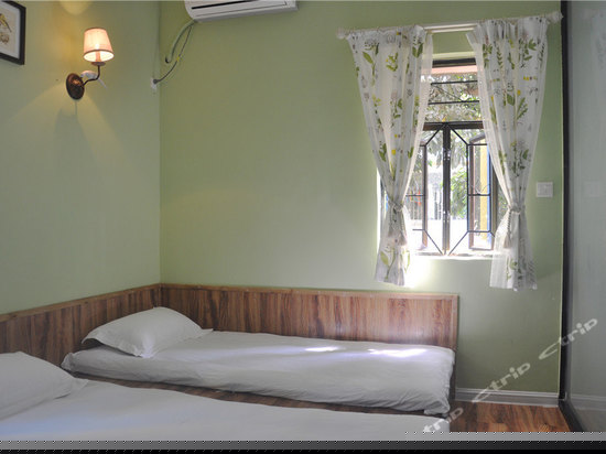 榻榻米鸟语天堂