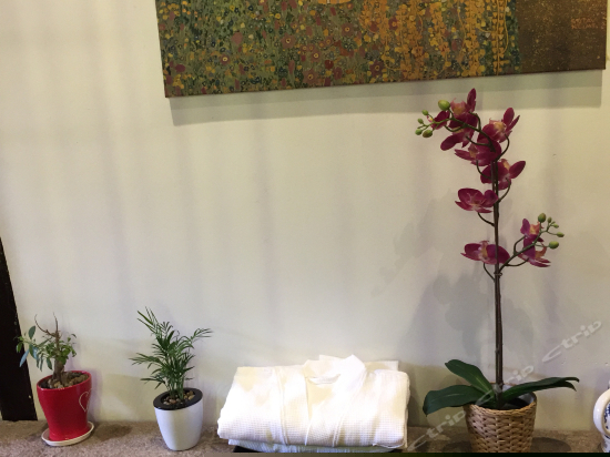 杜若临河豪华大床房