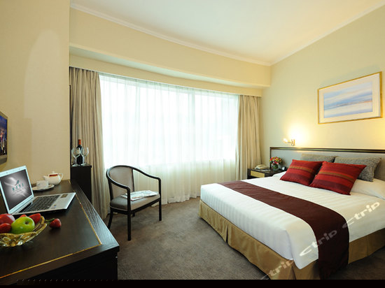 标准典雅客房(大床)