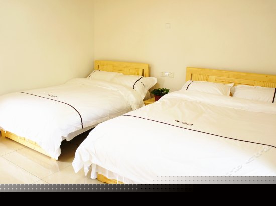 豪华标准双床房