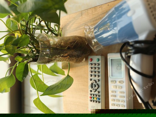 日落阳台标准间