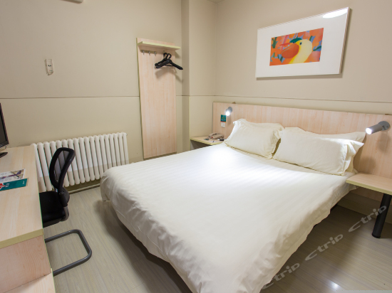 商务房D（无窗）