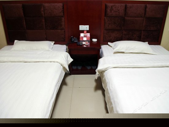 普通行政标准间