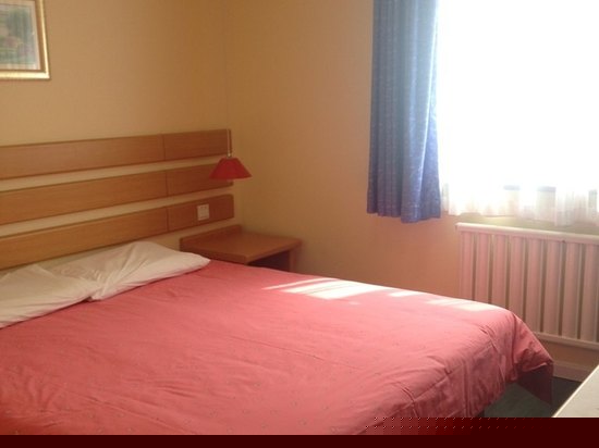 特惠大床房(无窗)