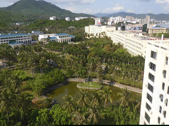 眺望远景