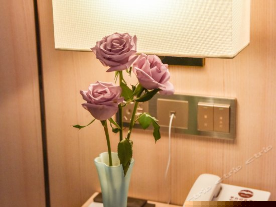 雅致商务大床房