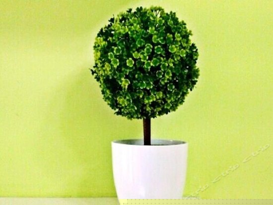 绿野仙踪主题房