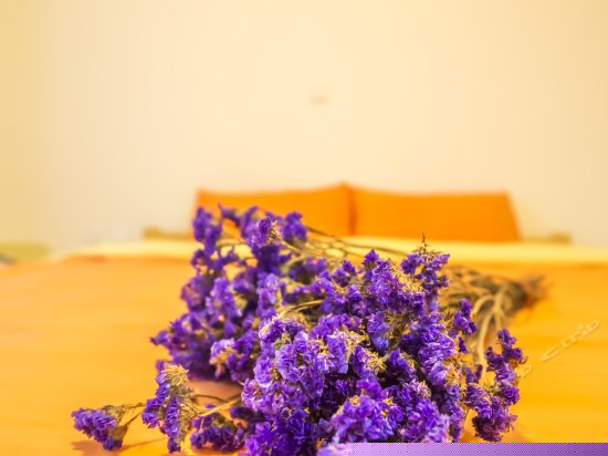 男女混合双人房(床位)