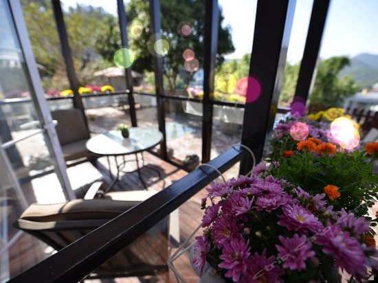 风信子阳台大床房