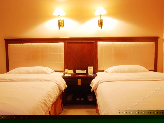 标准双人间