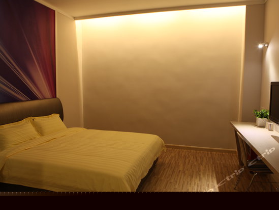 标准大床房(无窗)