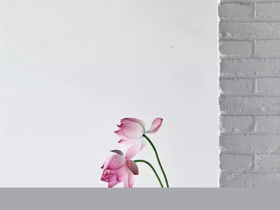 大堂吧