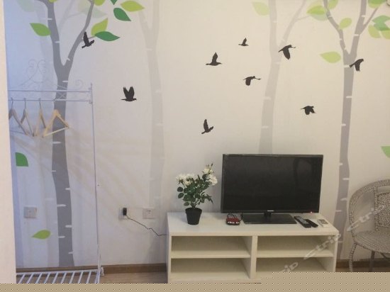 银白简约青春(特价大床)