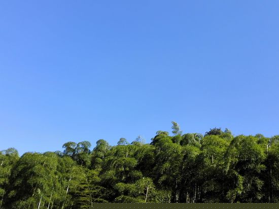 眺望远景