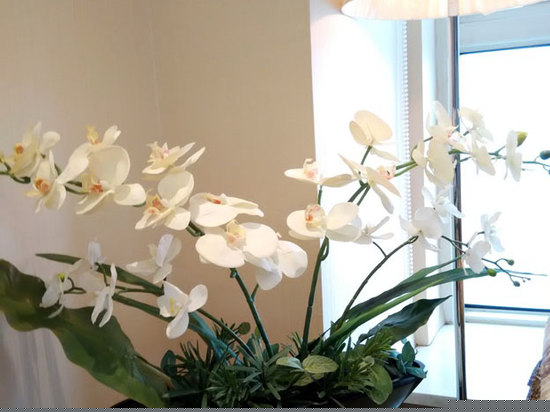 豪华商务街景套房