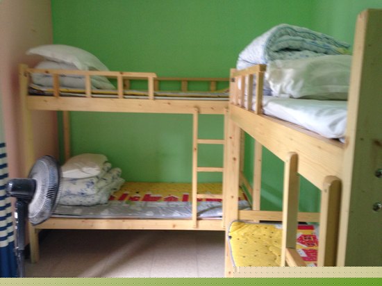 男生青春床位房（下铺）