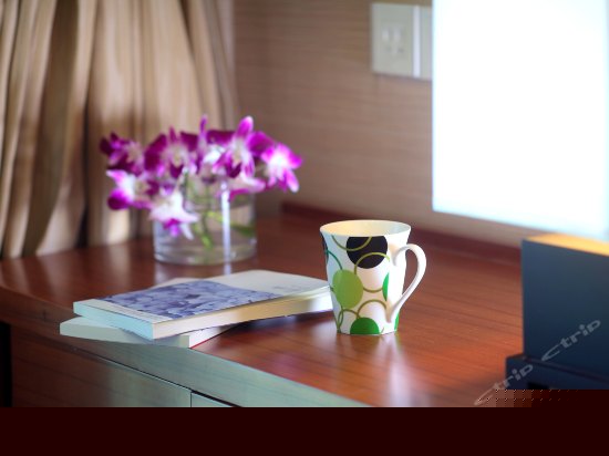 长天轩海景套房一室一厅