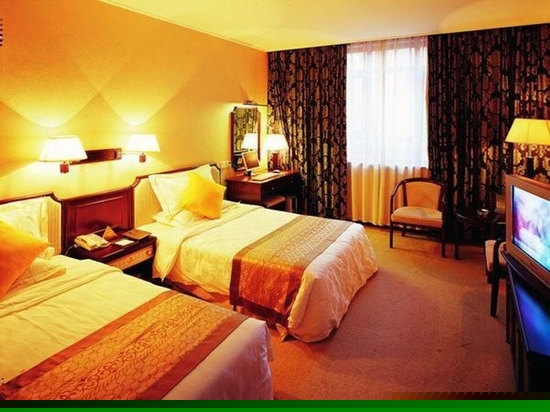 水城国际标准间