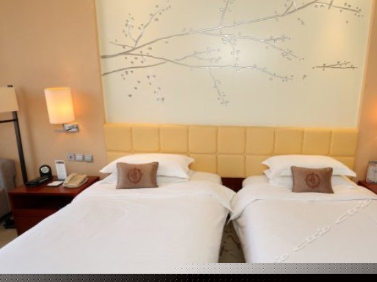 C座行政标双床房