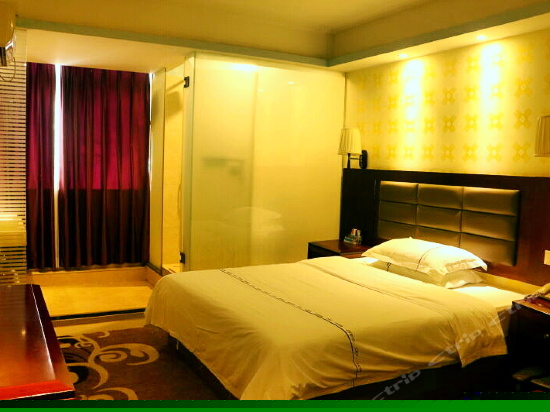 精品豪华单人房