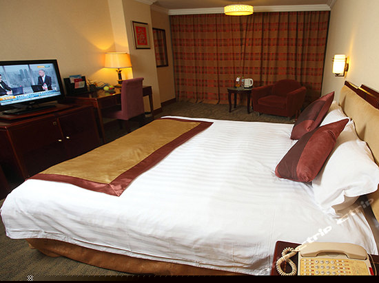 高级商务单人间A