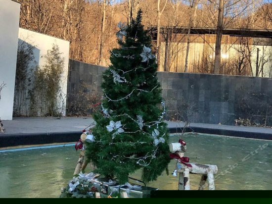 儿童乐园/儿童俱乐部