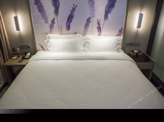 高级大床房（无窗）