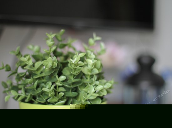 南山南豪华大床房