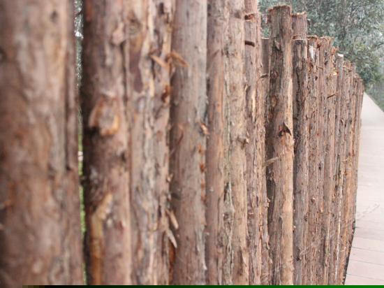 A区浪漫花海帐篷客房