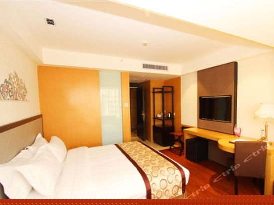 豪华商务大床房