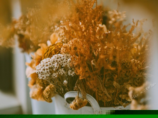 Room01海景跃层双人房