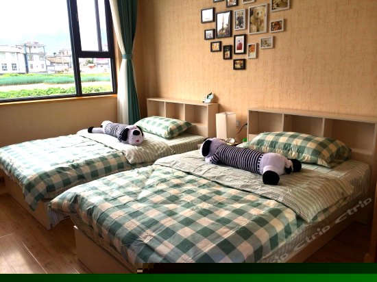 花开田田园风光房