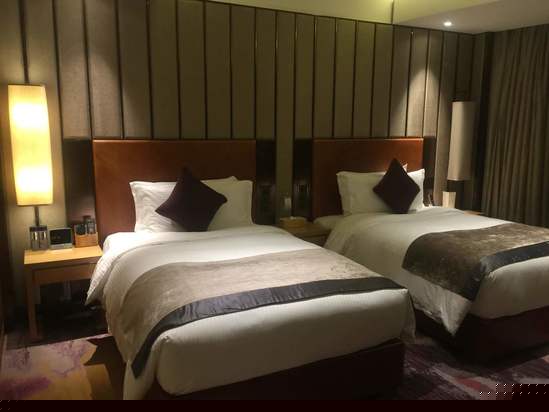 酒店房型