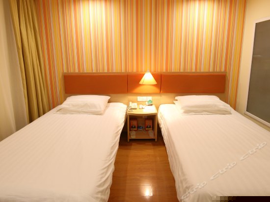 标准双床房