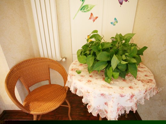 欧式复式二卧室二厅