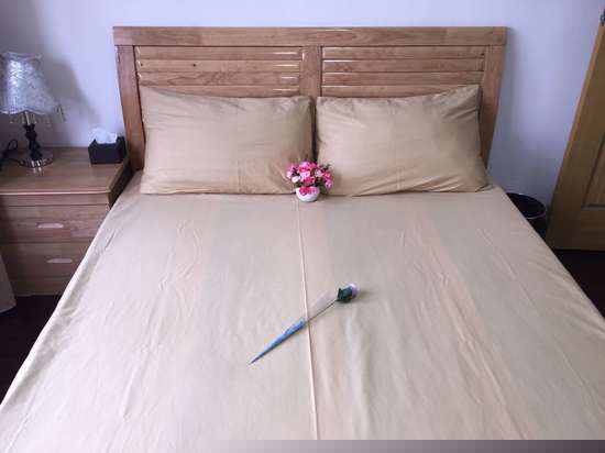 安静书香大床房