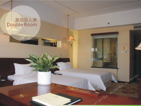 高级双床房