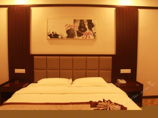 普通单间（无窗）