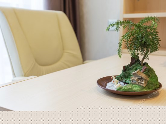 豪华商务大床房