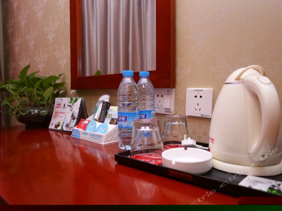 主题电动大床房