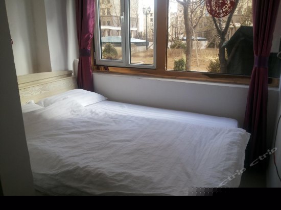 标准大床房(大,无窗)