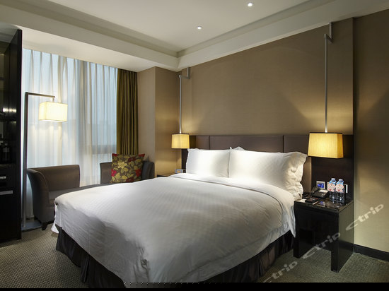 天鹰套房双人房